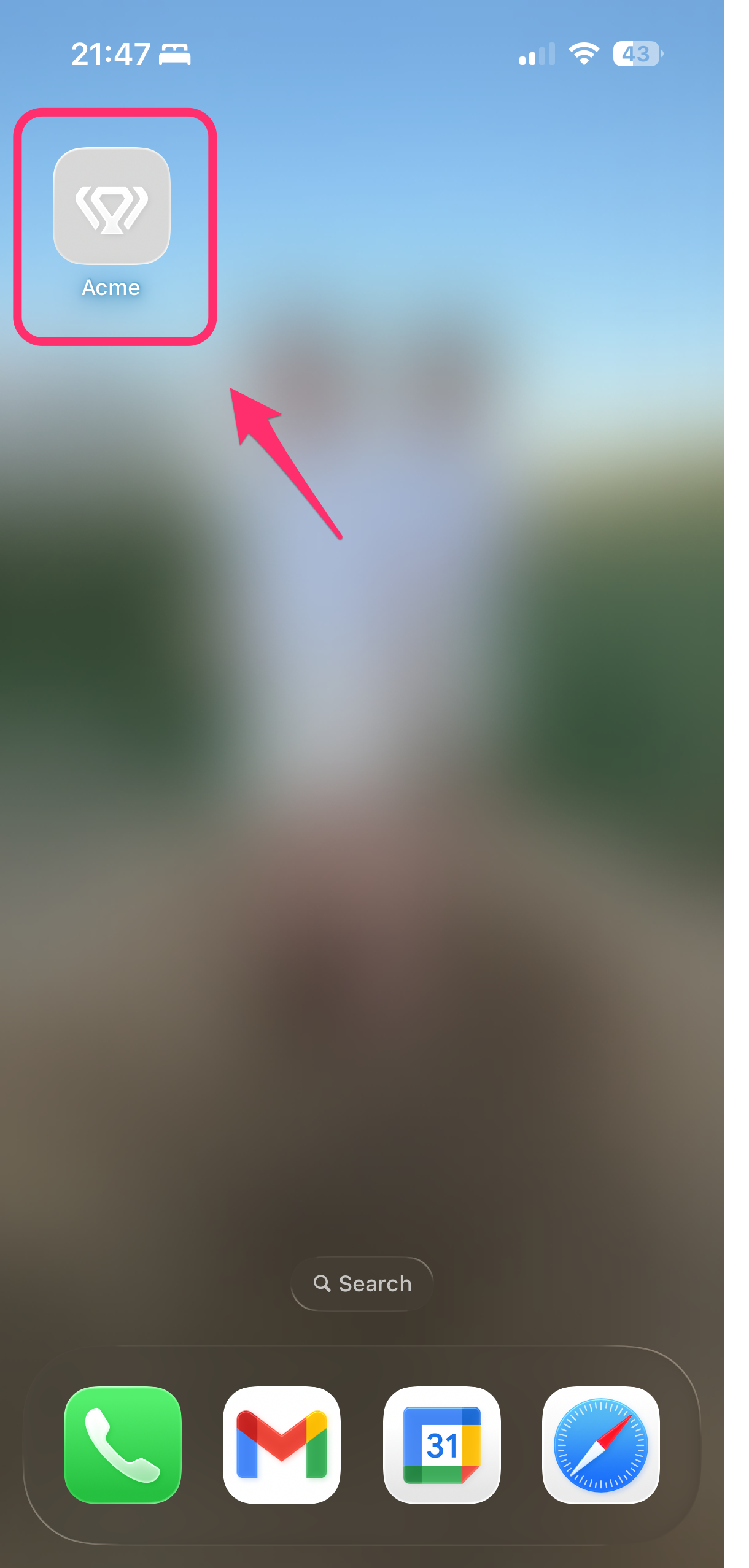Ícono de la app instalada en la pantalla de inicio del iPhone